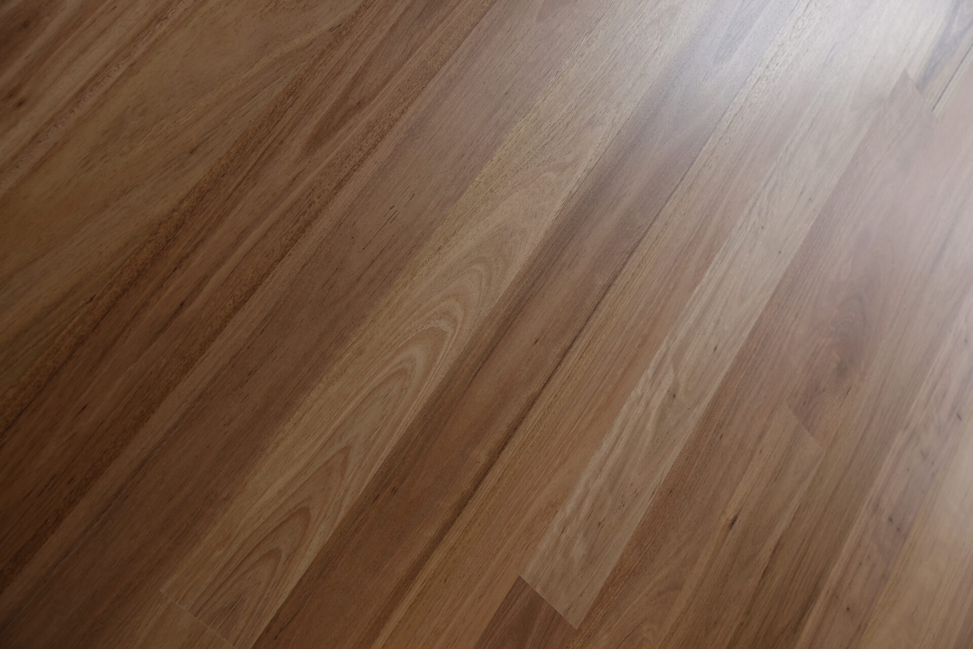 Hamilton Blackbutt renovation - Image 7